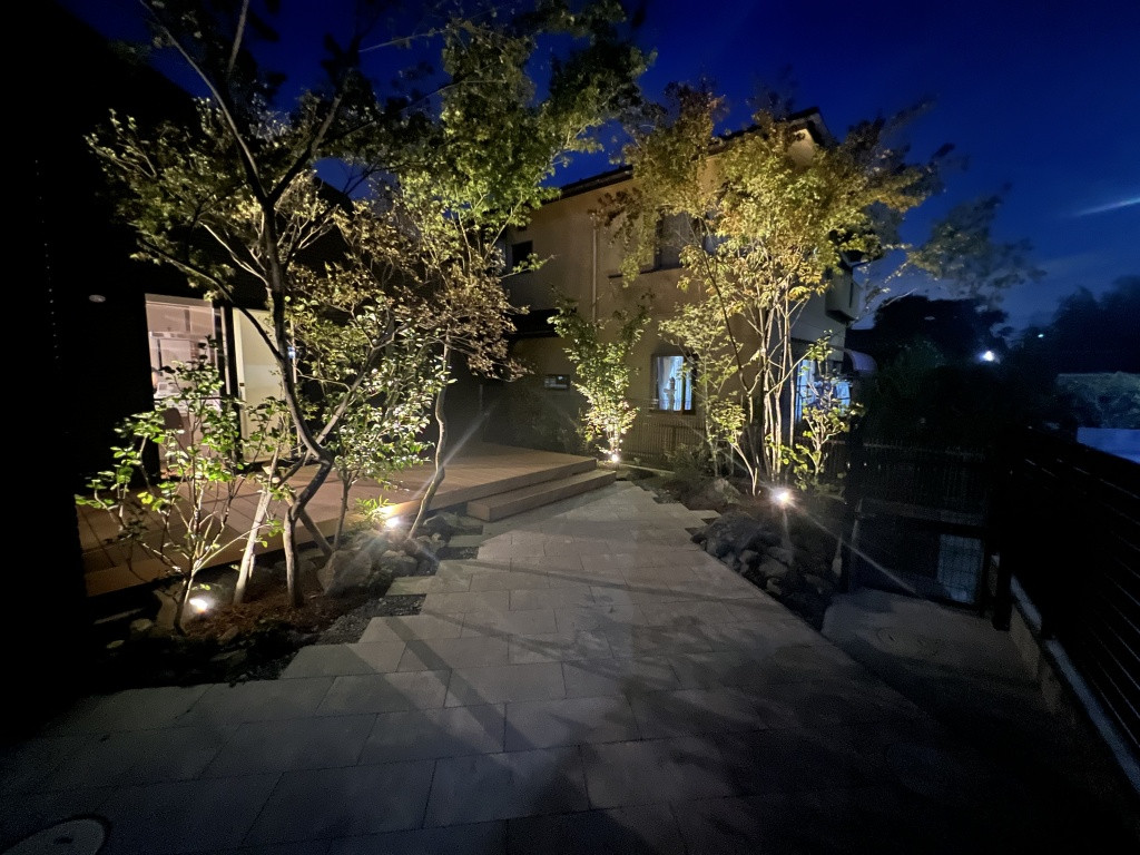 照明に照らされた夜の庭